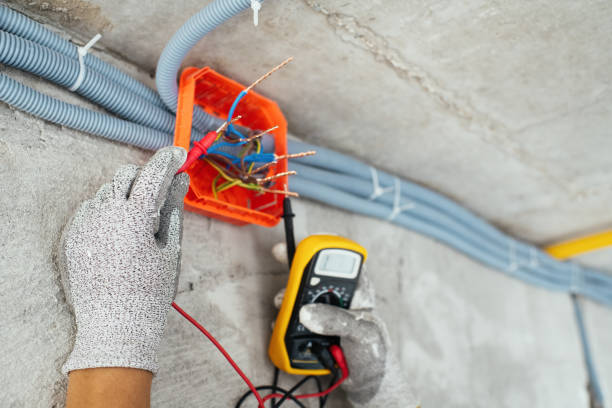 Best Electrical Wiring Services  in Brazoria, TX