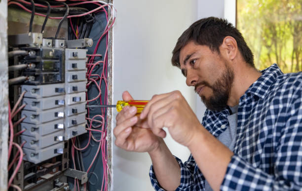 Best Local Electrician Companies  in Brazoria, TX